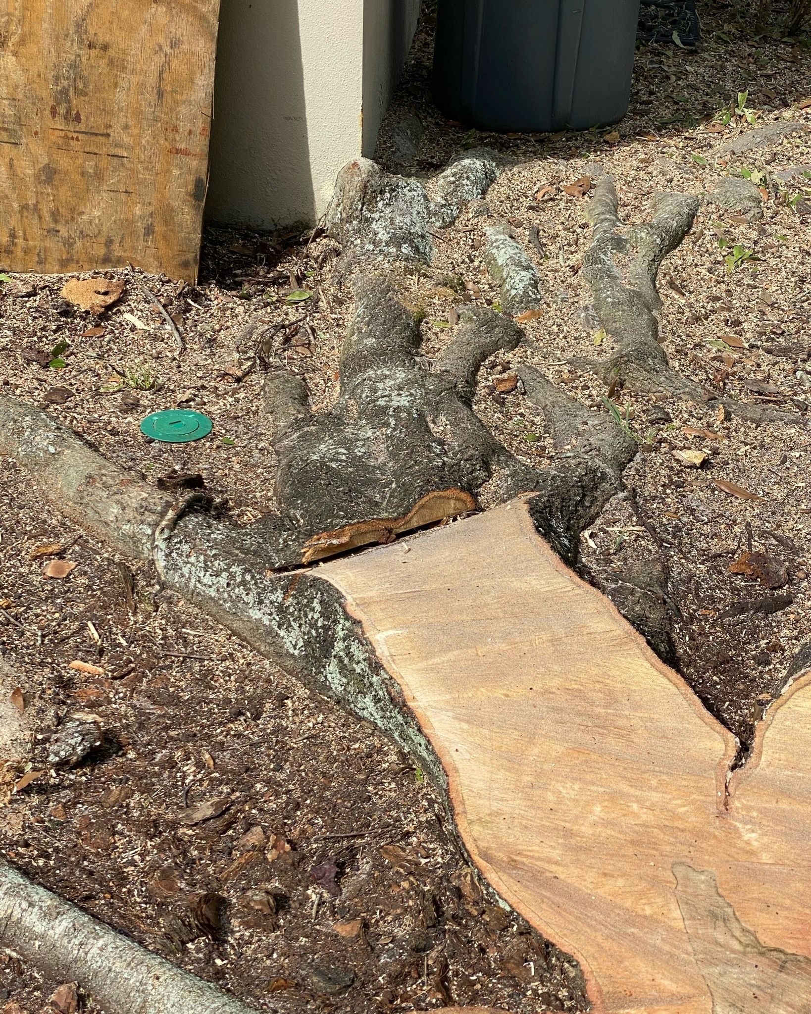 Rock garden with tan paving stones and textured gray stones near a building wall.