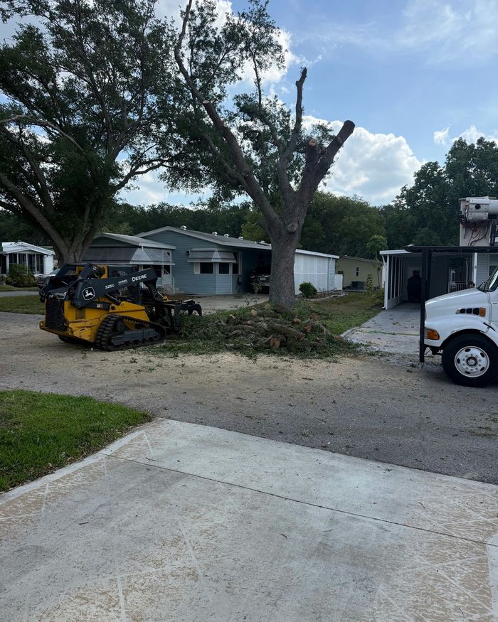 Tree service truck and wood chipper in a residential driveway with a large trimmed tree and debris.