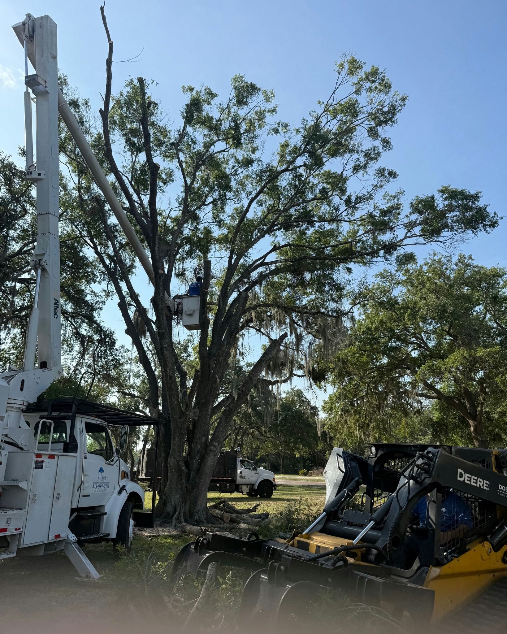 Utility truck with boom lift near a large tree, with a small excavator in a grassy yard under a blue sky