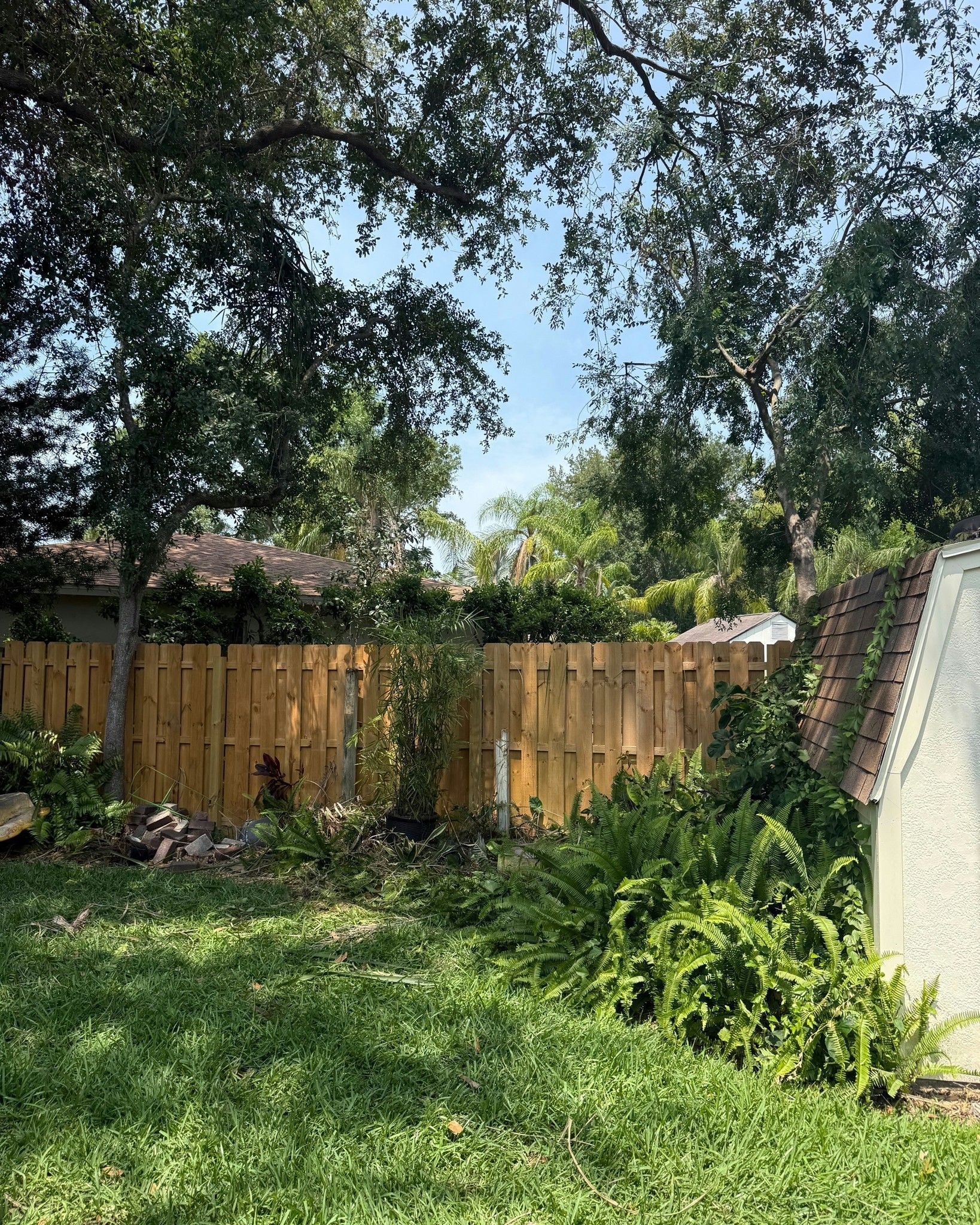Backyard with green grass, leafy trees, and a wooden fence under a bright sky