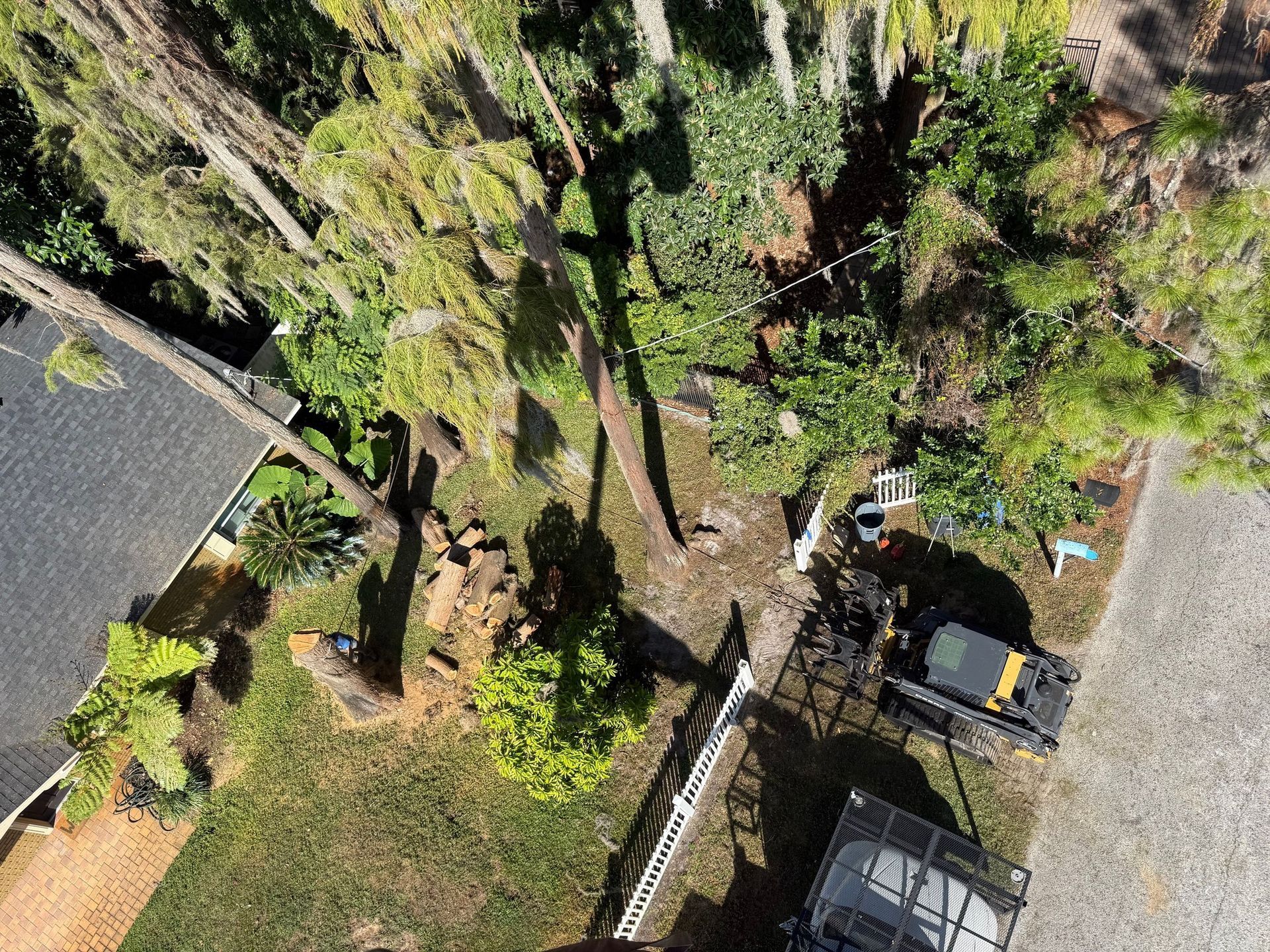 Aerial view of a yard with tall trees, gravel, and parked vehicles beside a building