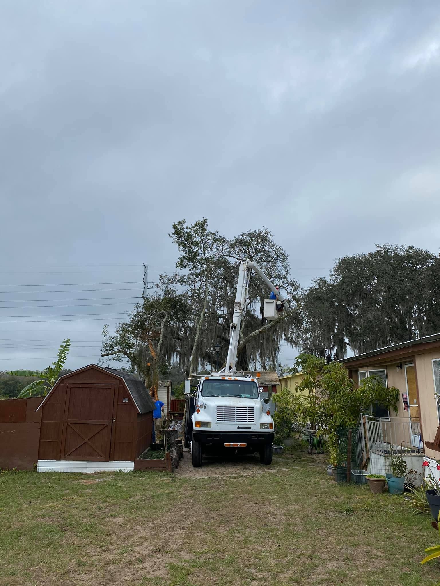 White truck parked on a grassy driveway beside a brown gate and house under a cloudy sky