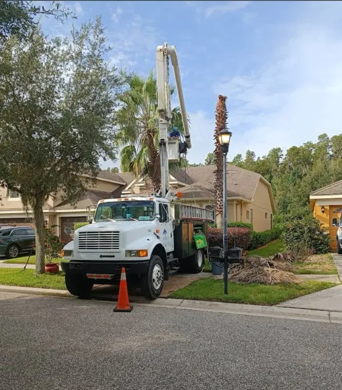 Bucket truck trimming trees beside a suburban house, with cones blocking the street.