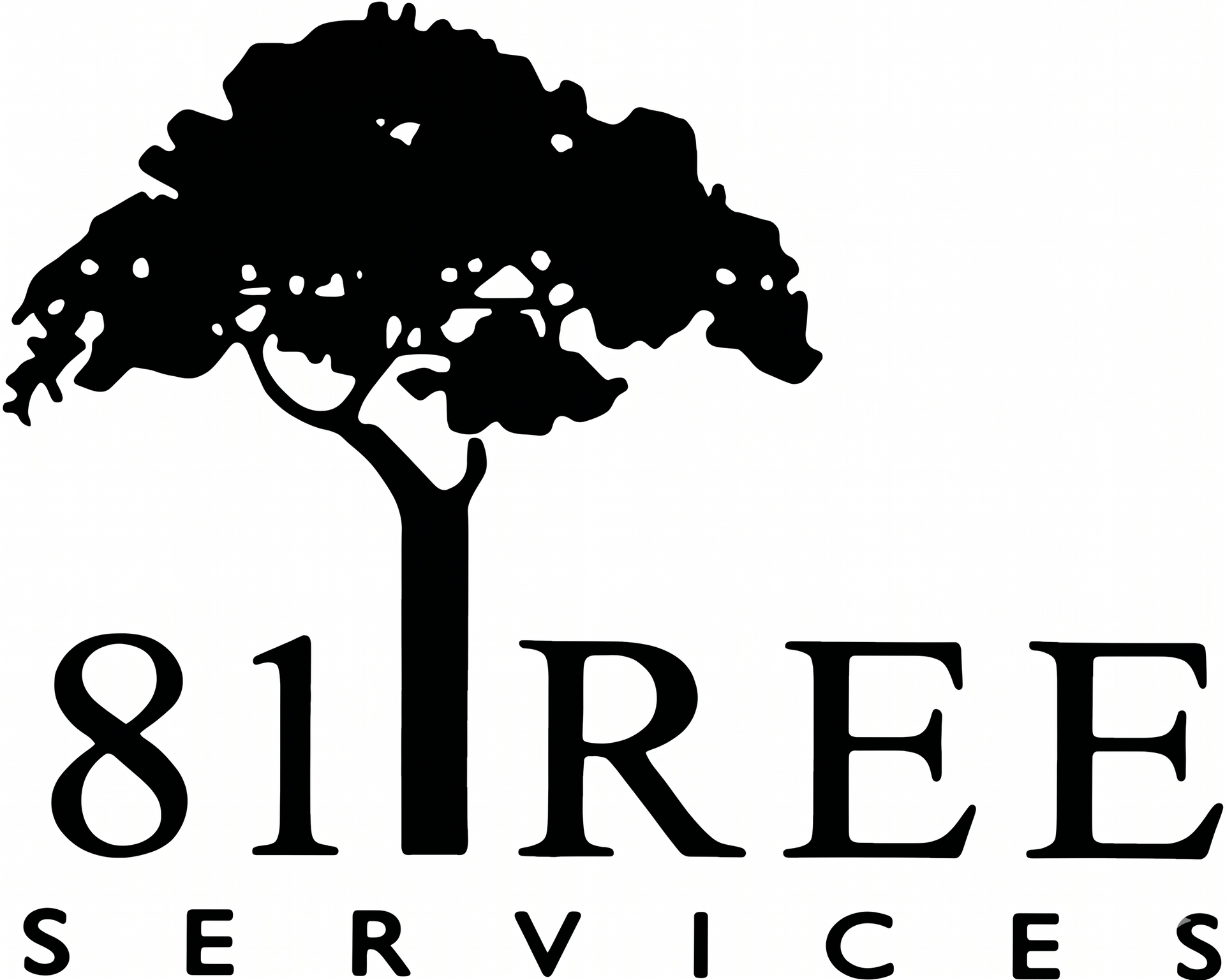 81REE Services logo with a black tree silhouette above the text