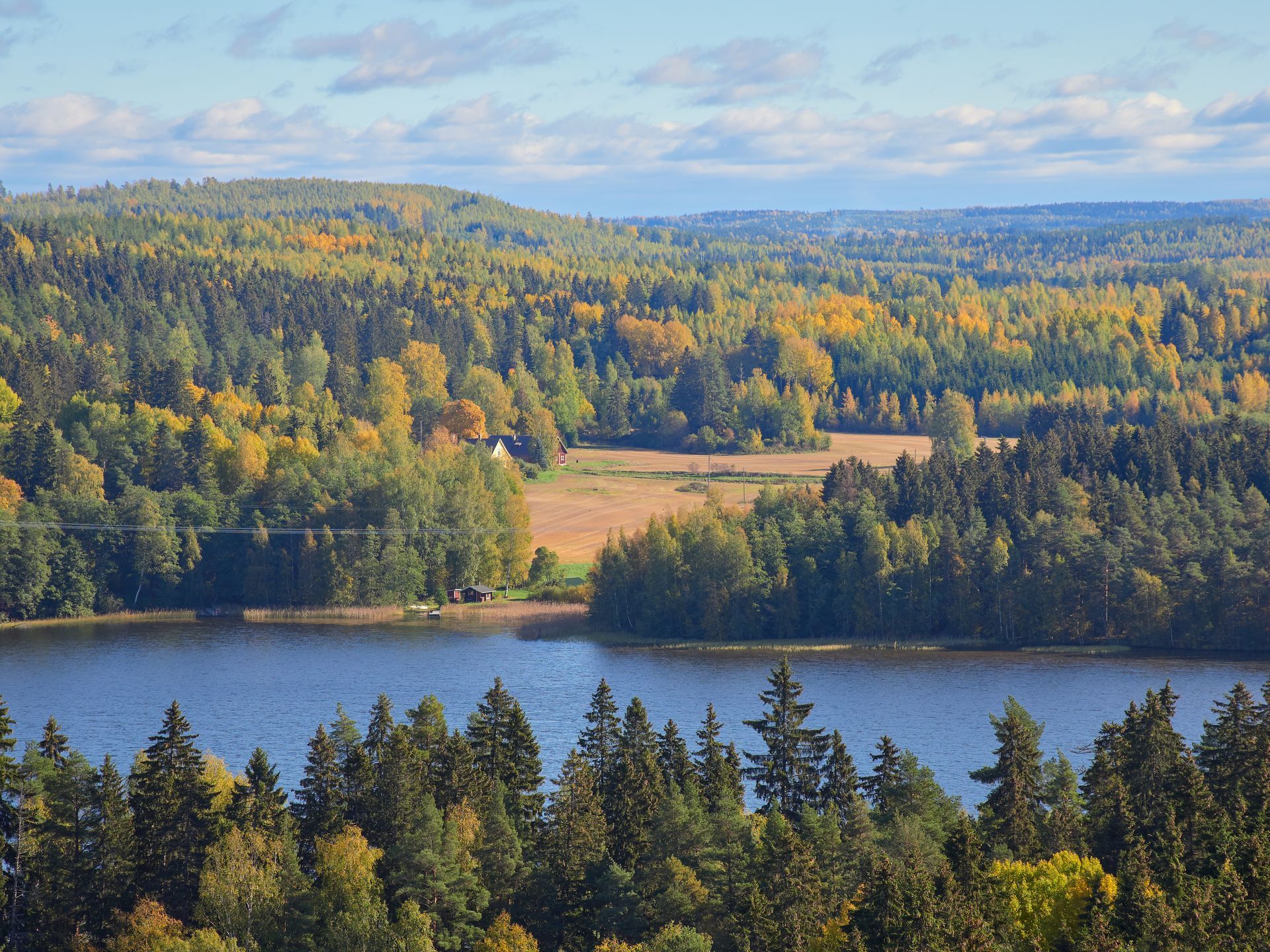 A lake surrounded by trees on a sunny day