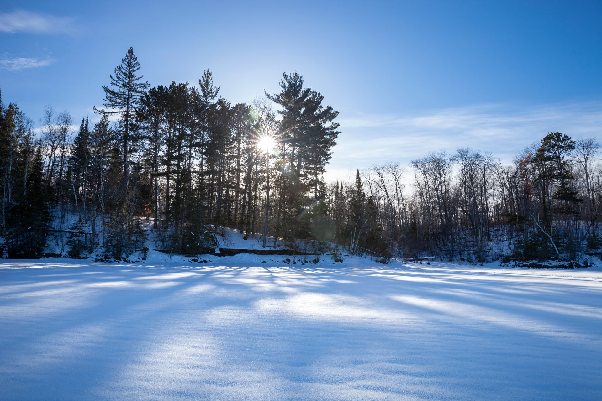 The sun is shining through the trees on a snowy day