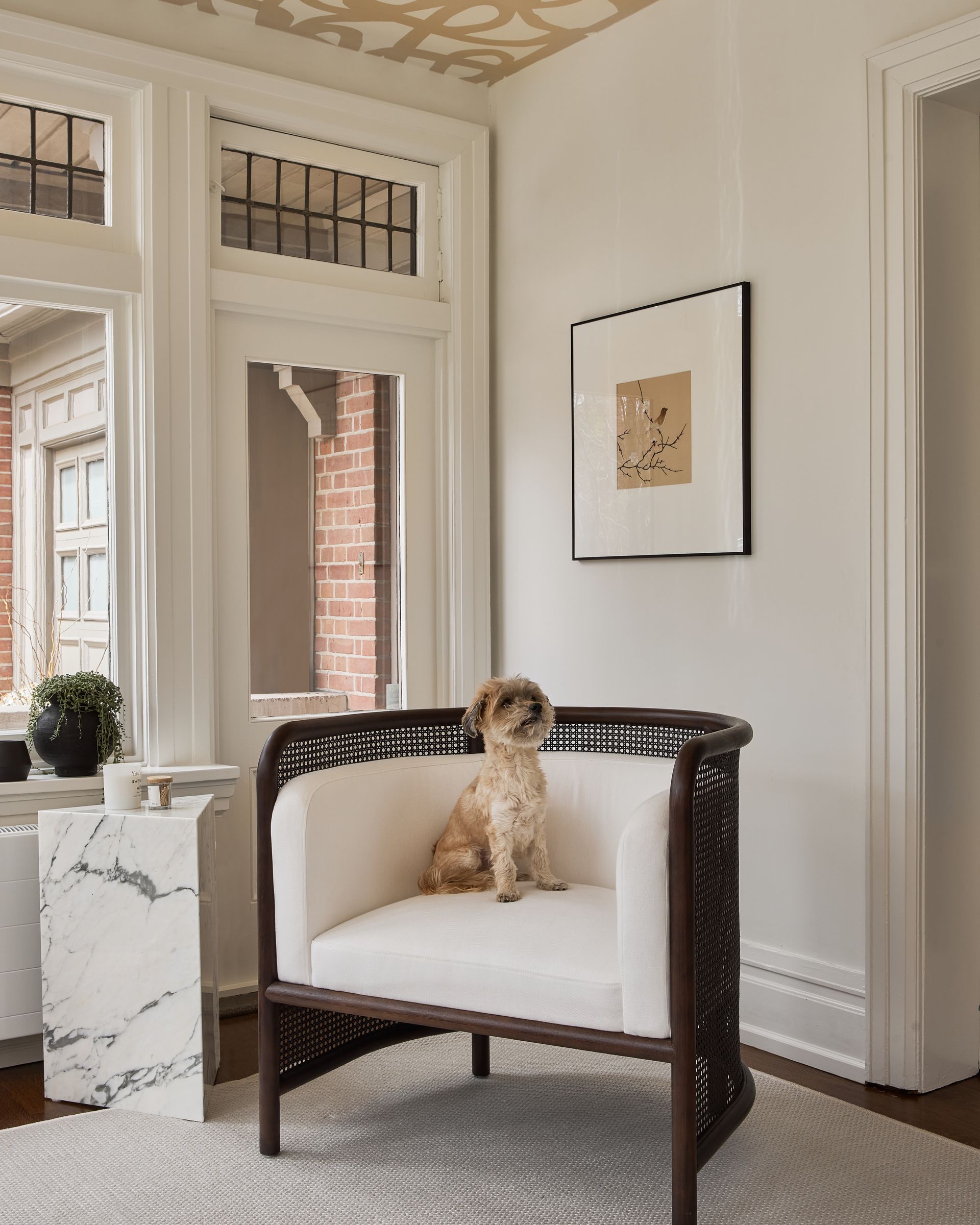 A dog is sitting in a chair in a living room