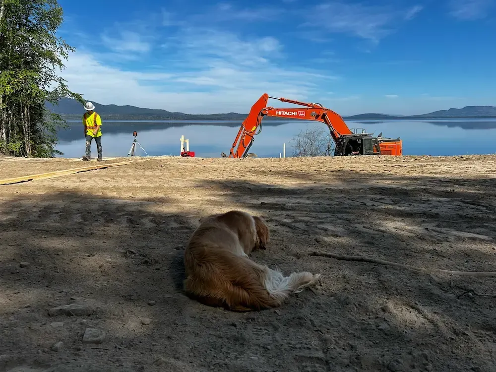 Construction site by a calm lake, with an orange excavator and a dog resting in the foreground.