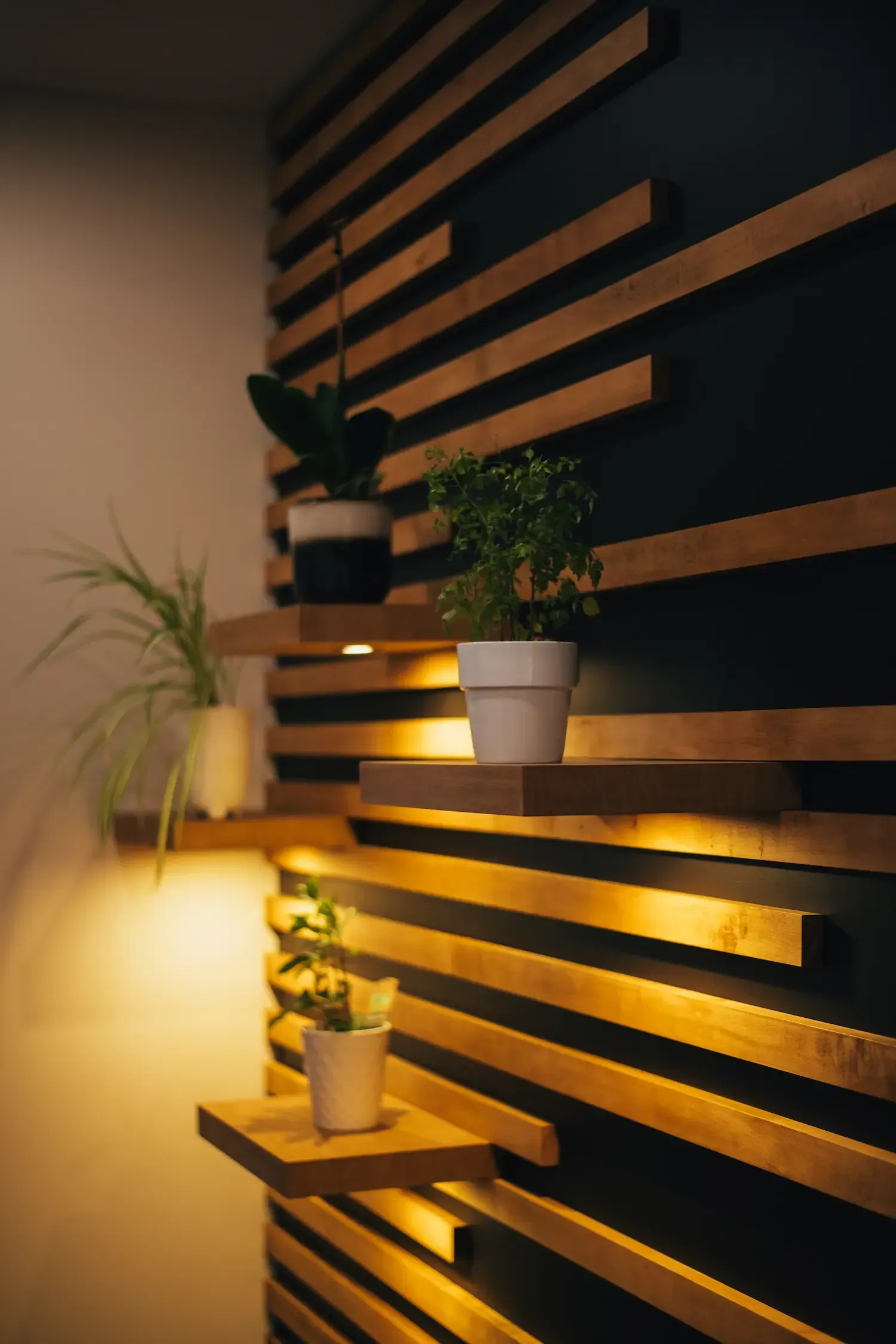Warm-lit indoor wall with horizontal wooden slats, shelves, and potted plants.