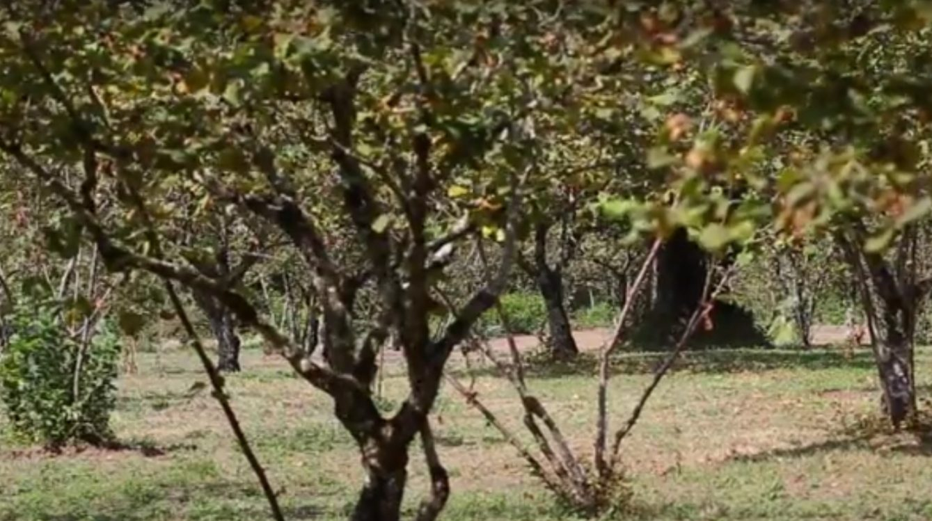Ricambi in gomma Lamezia Terme, CZ Bonaddio articoli in gomma
