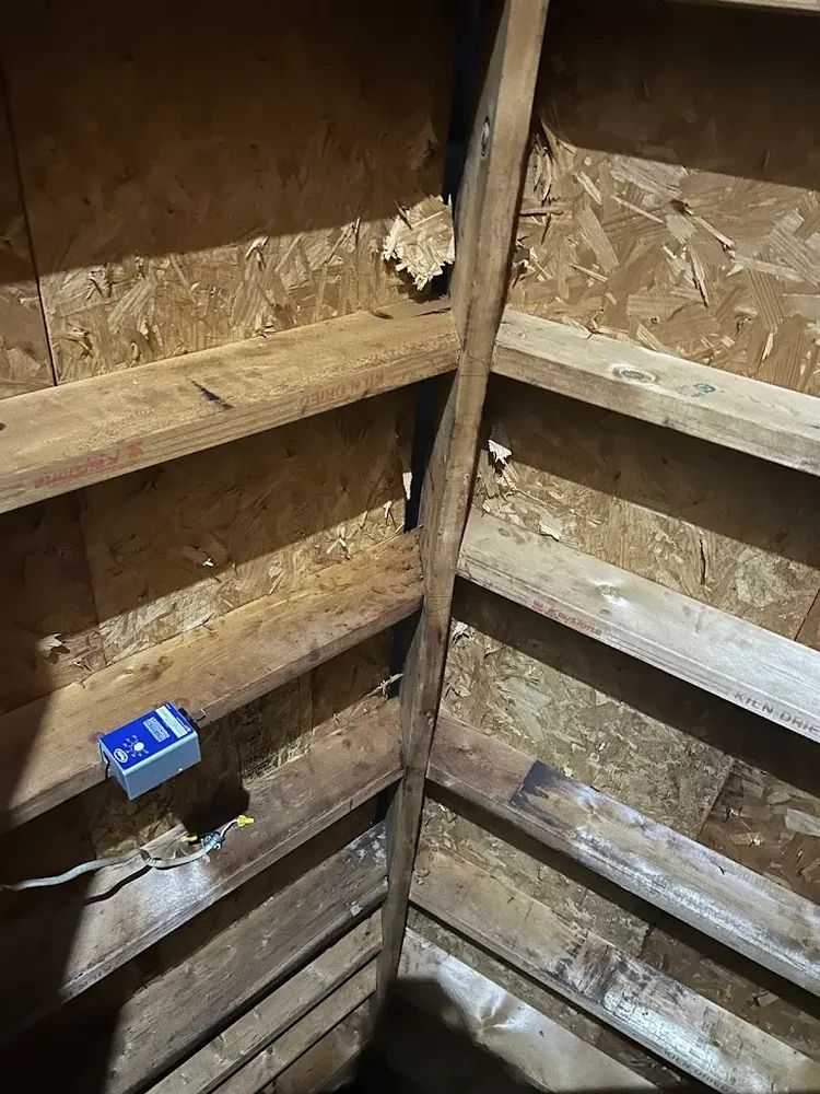 Interior view of an attic with wooden rafters and OSB sheathing. 
