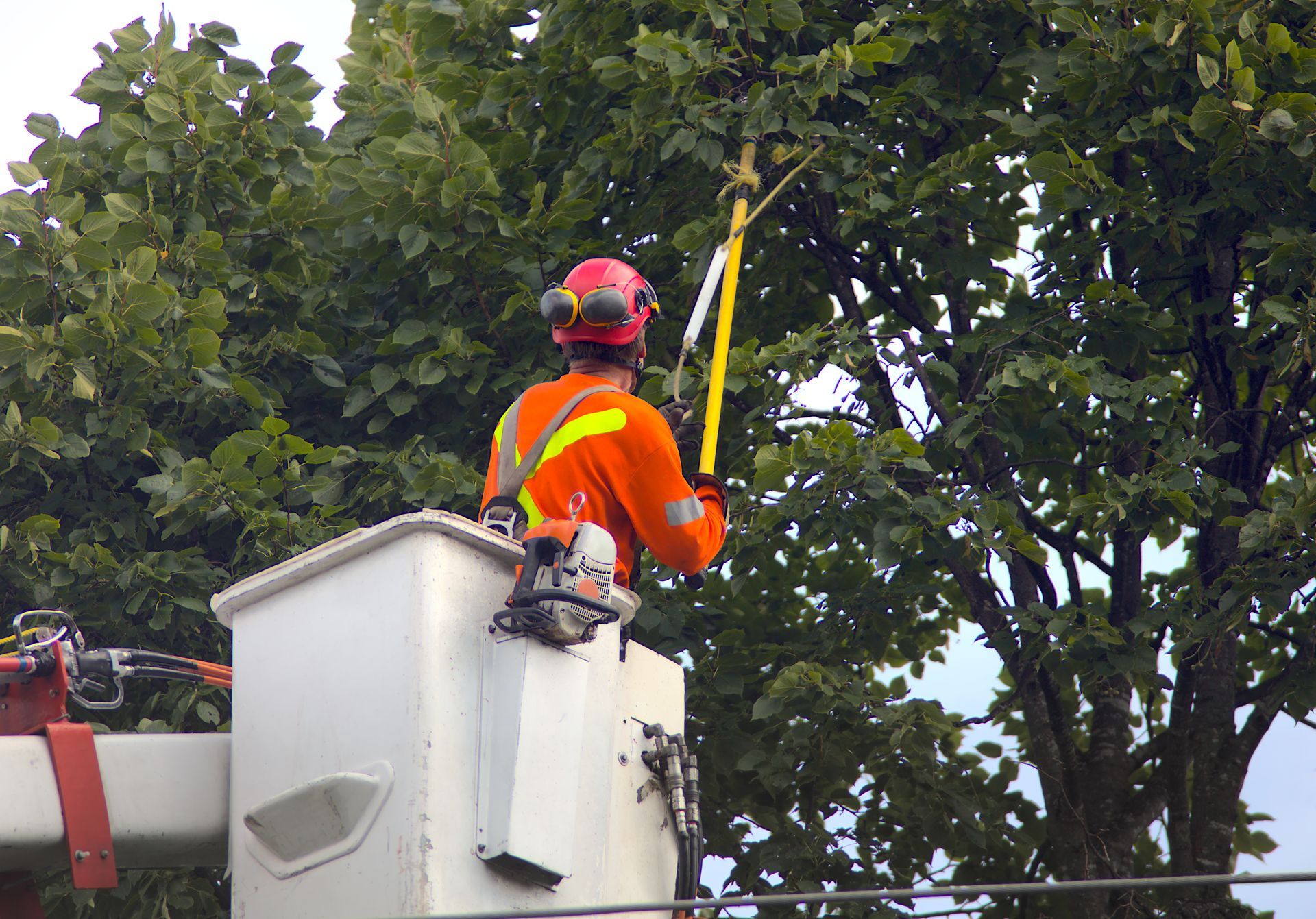 Worker in orange safety gear trimming a tree from a bucket lift outdoors Worker in orange safety gear trimming a tree from a bucket lift outdoors