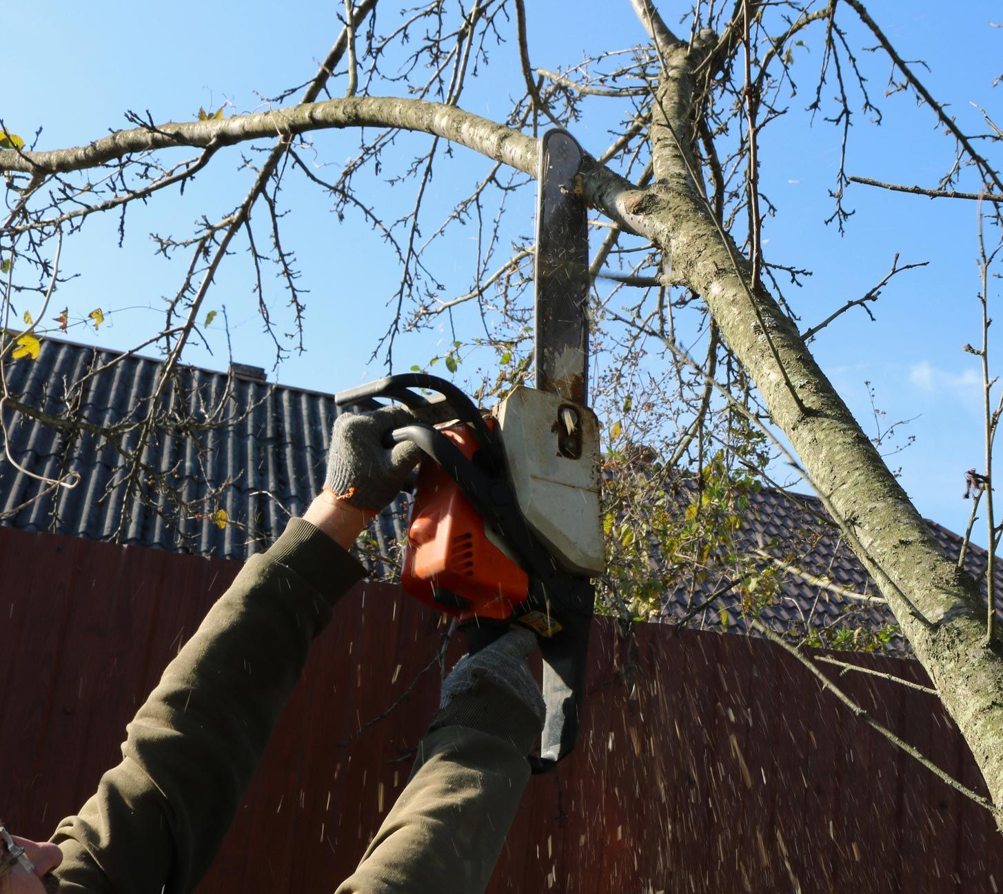 Tree worker cutting and trimming a branch that is over a roof Tree worker cutting and trimming a branch that is over a roof