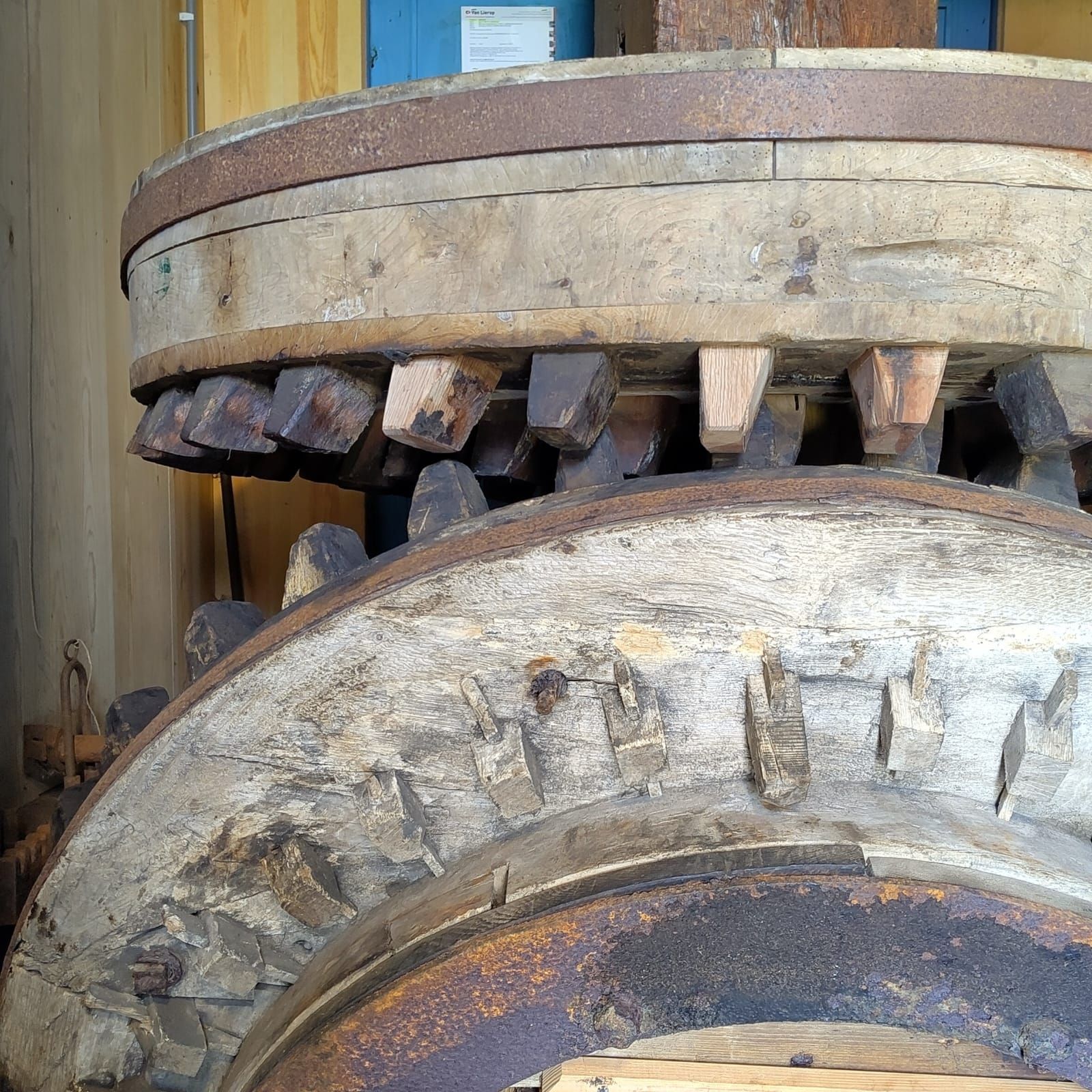 detail Philisteinse molen, overbrenging onderbonkelaar op vijzelwiel
