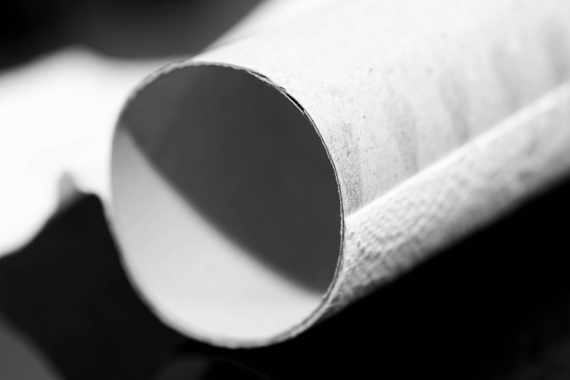 empty toilet paper roll