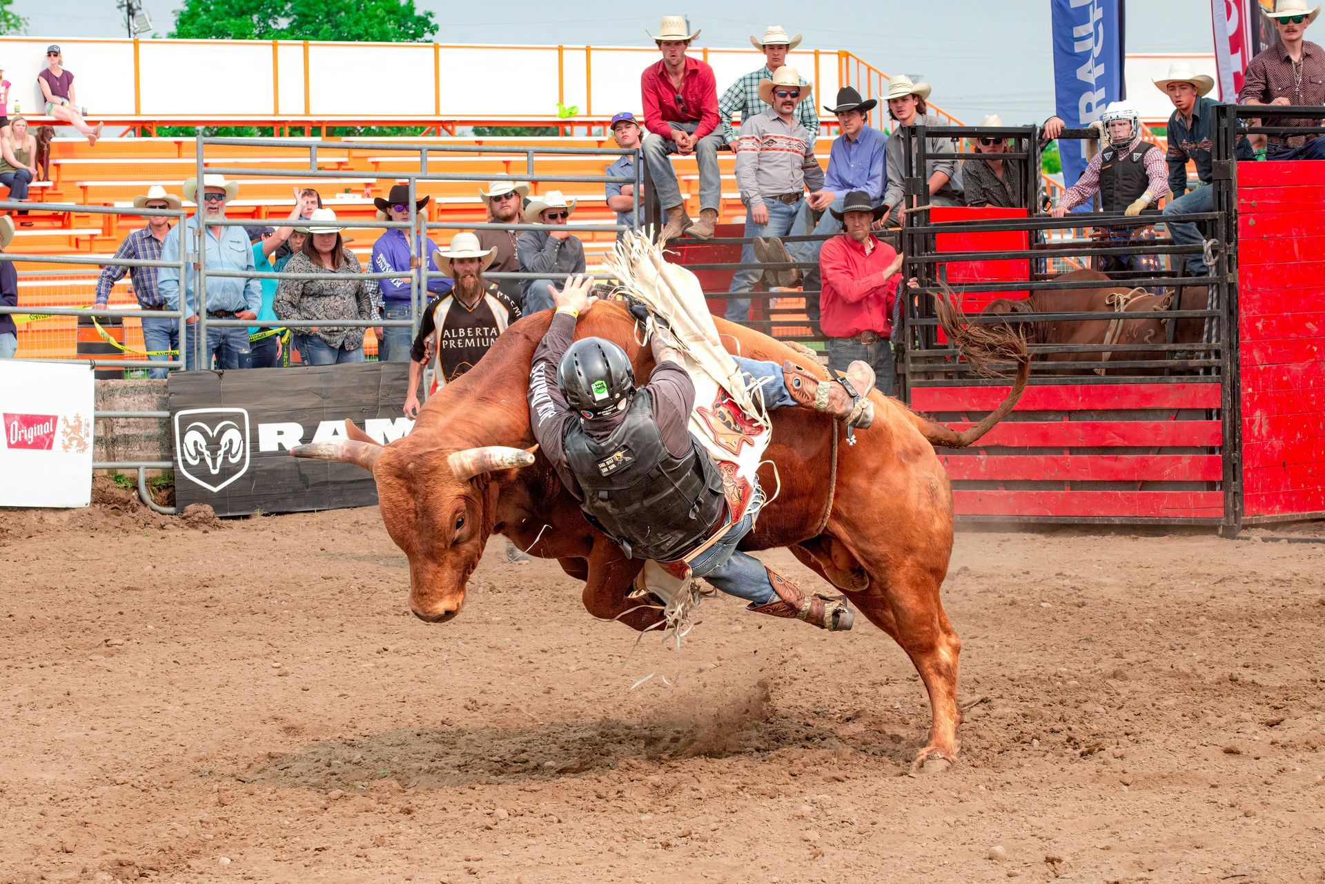 Cowboy riding a bucking brown bull in a rodeo arena, with spectators in the background