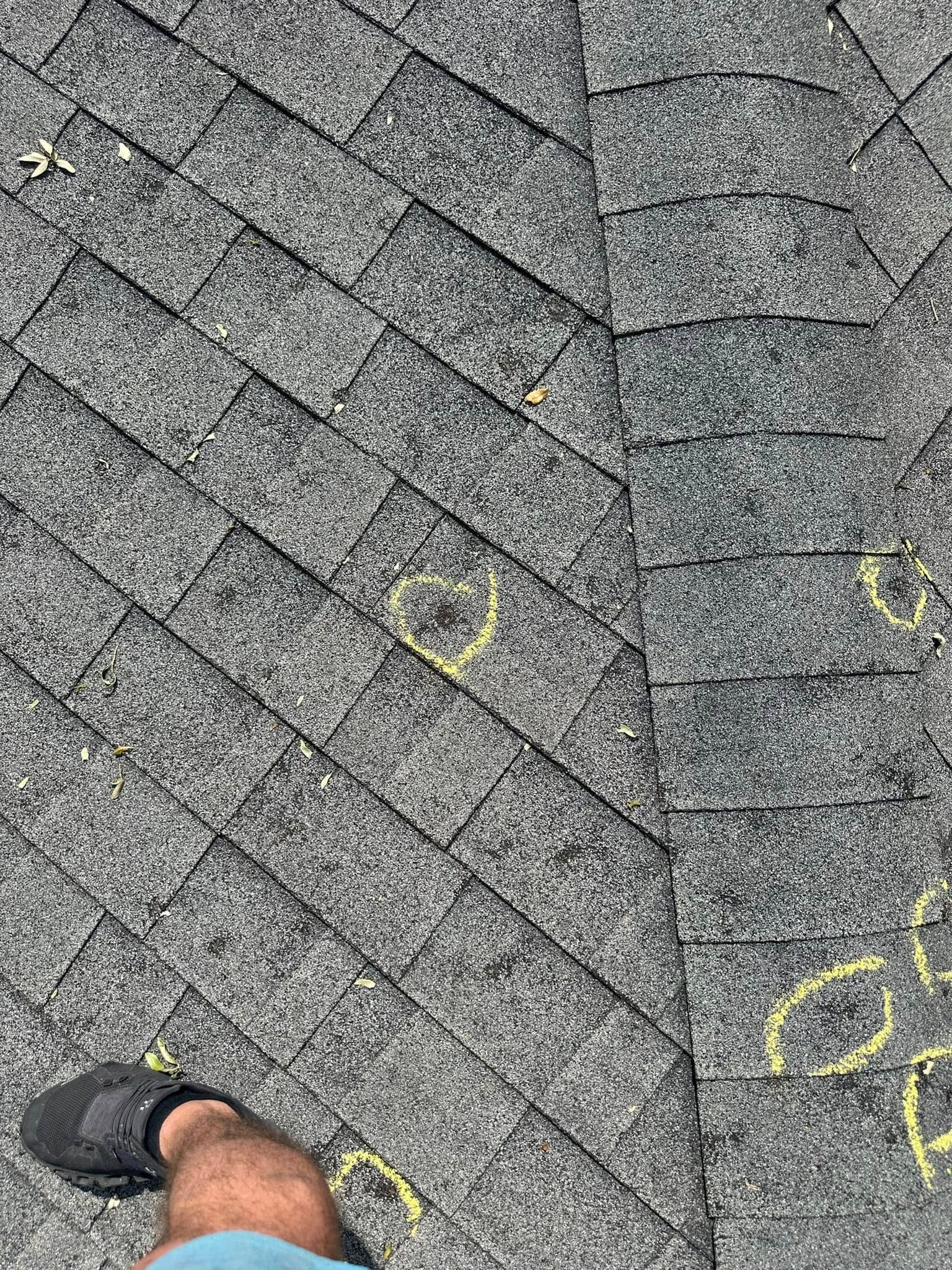Foot on roof shingles with yellow circles, likely hail damage assessment.