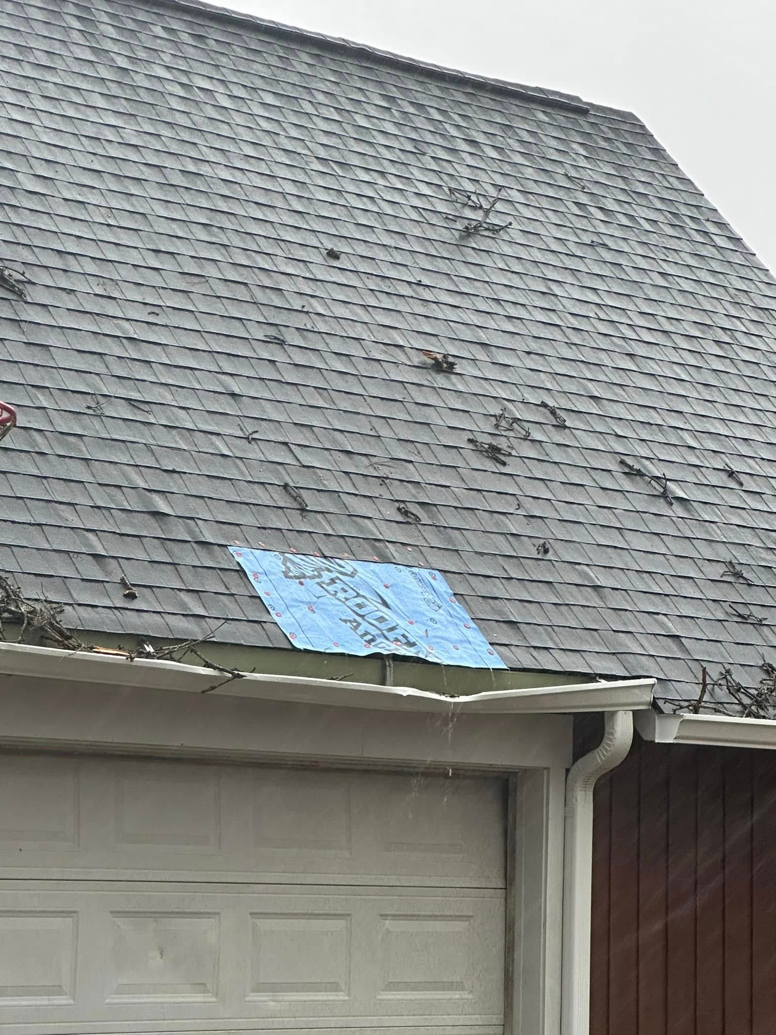 Asphalt shingle roof with yellow markings. The markings read: ES, W=0, and H=32.