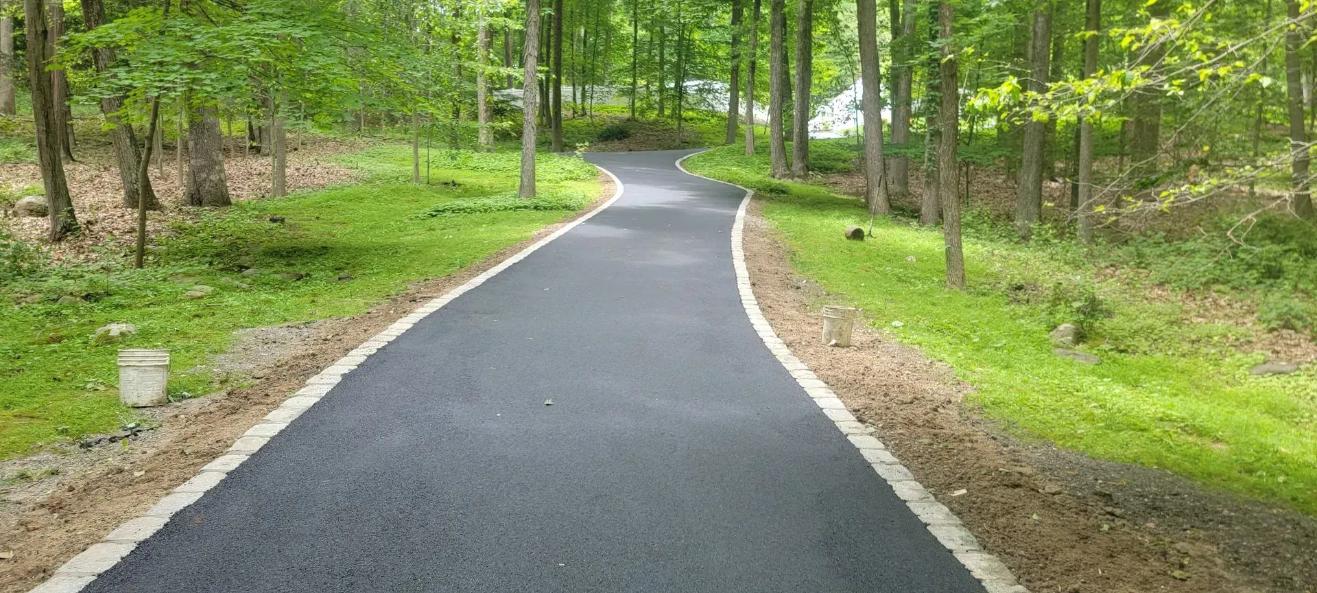 A black road going through a forest with trees on both sides.