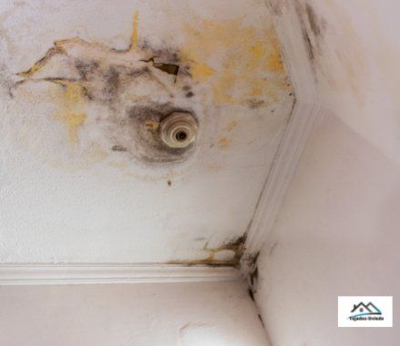 Reparar humedad en la cubierta en Oviedo, Asturias