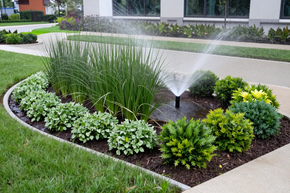 Landscaping and irrigation