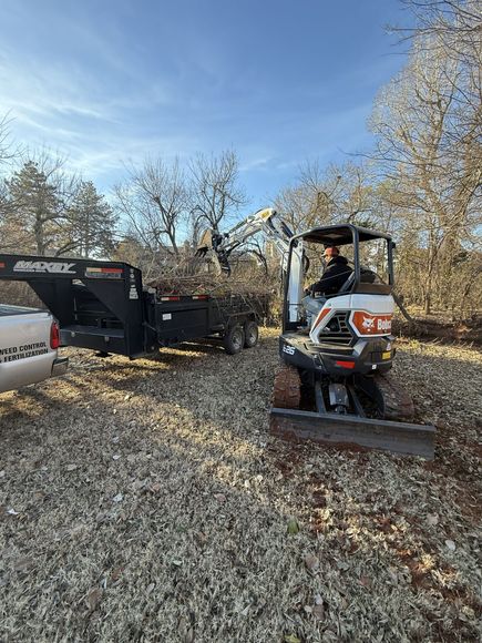 Small loader and leaf shredder clearing autumn leaves in a wooded yard under a blue sky