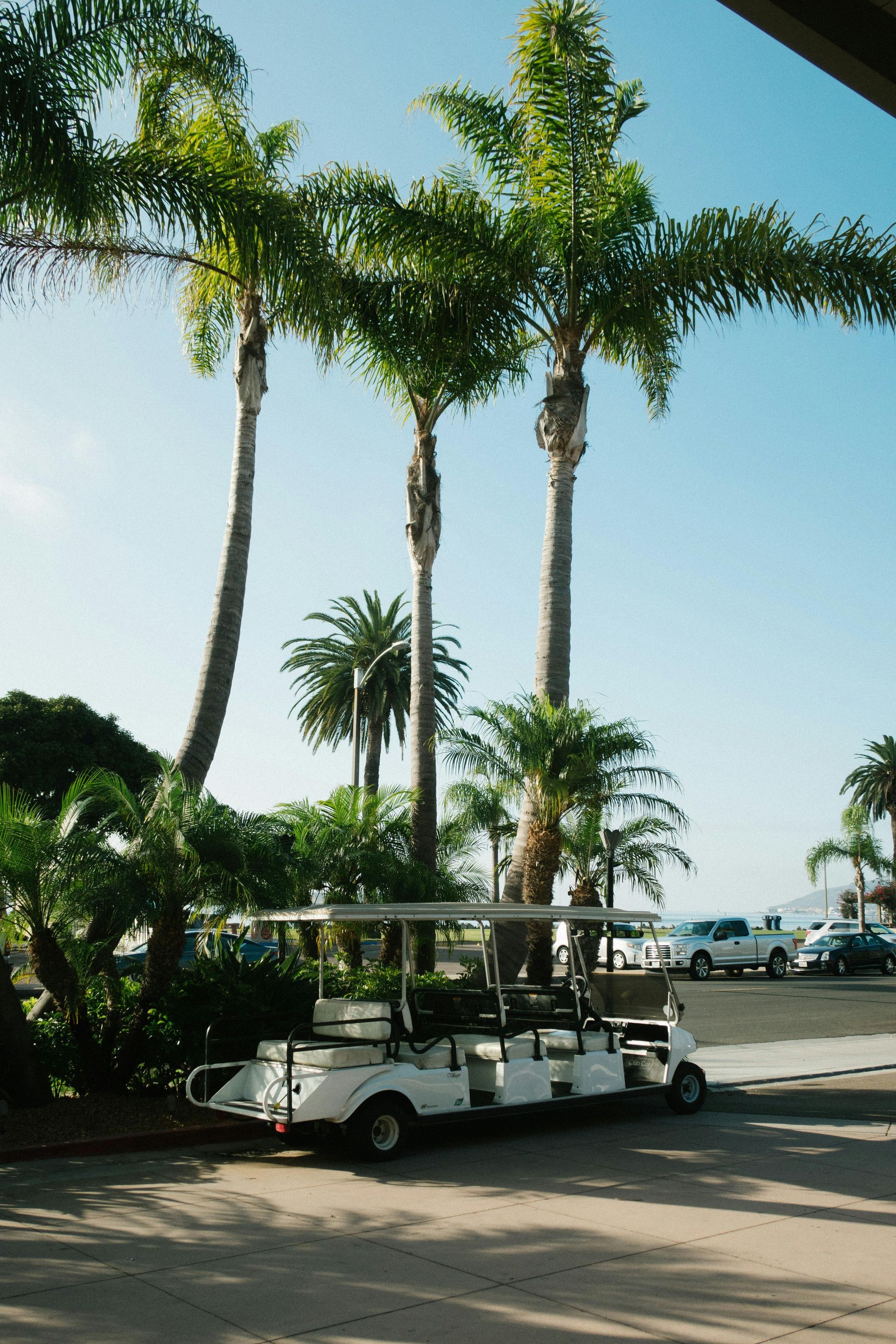 White golf cart parked under palm trees; sunny day at a resort.