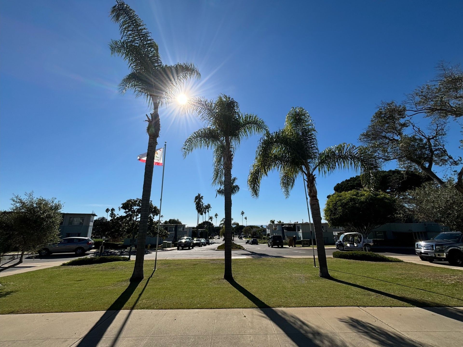 The sun is shining through the palm trees on a sunny day