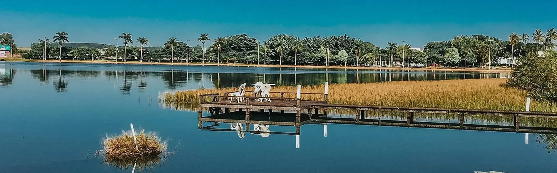 Lago tranquilo com um cais de madeira, palmeiras e uma pequena ilha pantanosa sob um céu azul límpido.