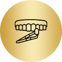 Dentures and cleaning brush in a gold circle.