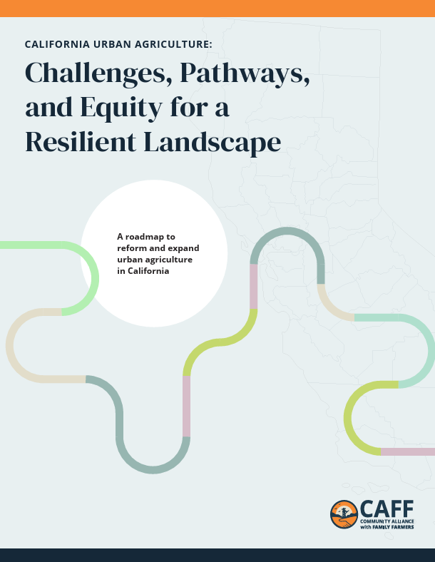 Report cover: 