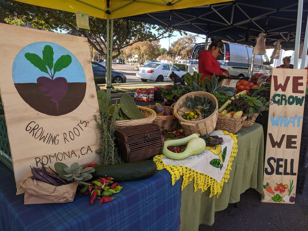 A farmers market stall displays fresh produce with signs reading