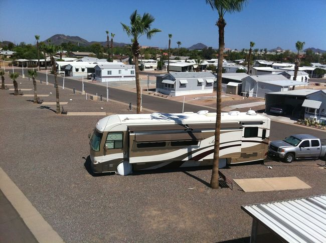 Desert RV park with parked motorhomes, palm trees, and a silver pickup under a clear sky.