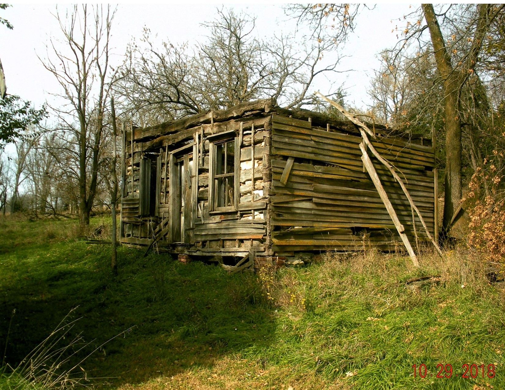 Dilapidated wooden cabin in a grassy field, decaying. Overgrown with trees.