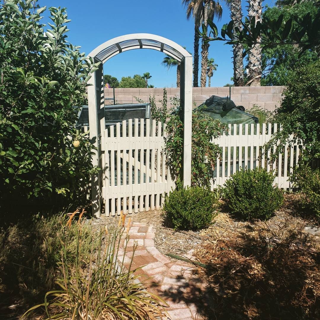 White garden gate with arched trellis, flanked by shrubs, and a brick path in a sunny yard.