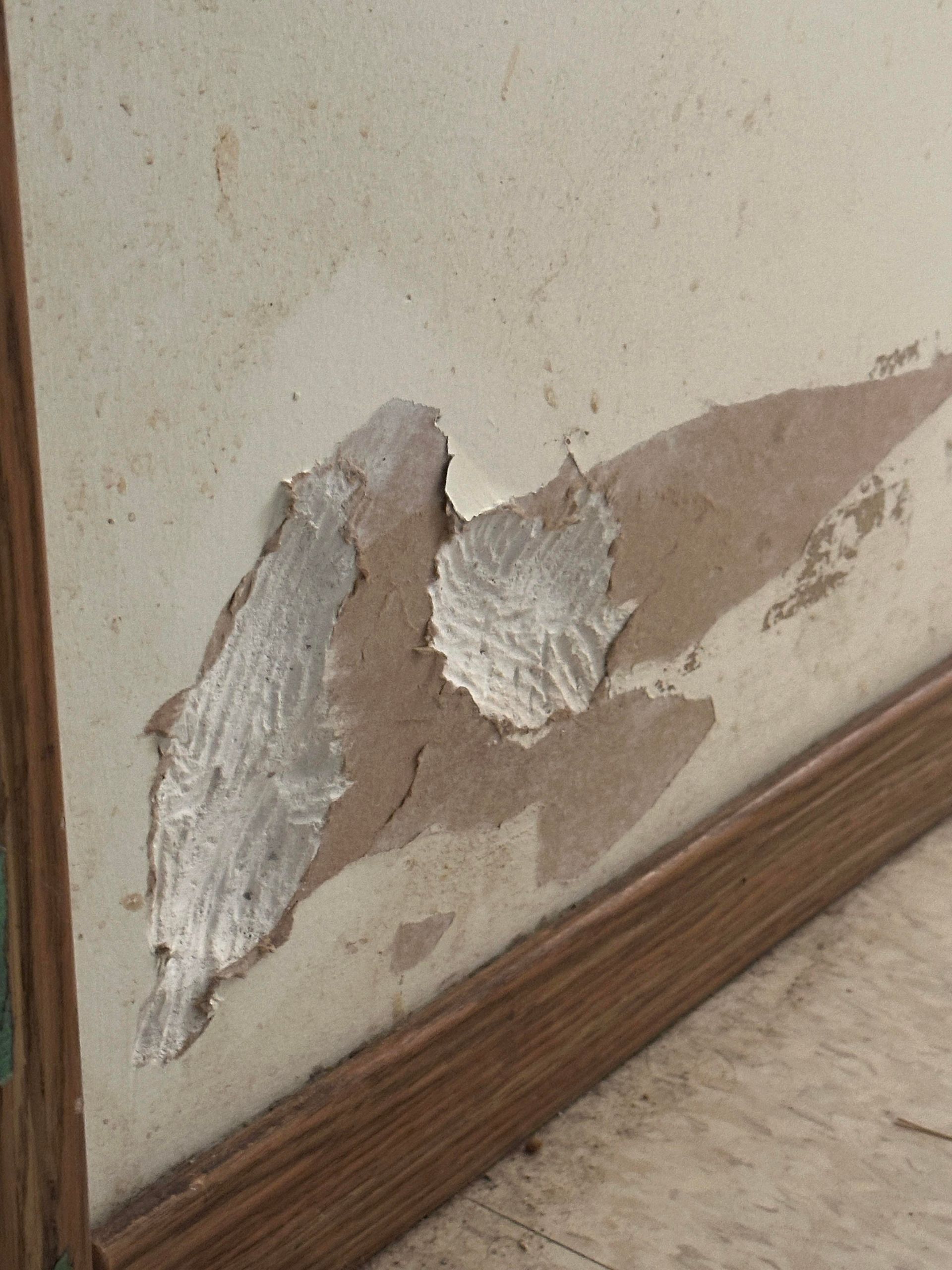 Damaged wall with peeling paint and exposed plaster above a wooden baseboard