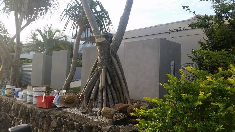 A Tree with A Lot of Branches Growing out Of It  — MJ Render in Buderim, QLD