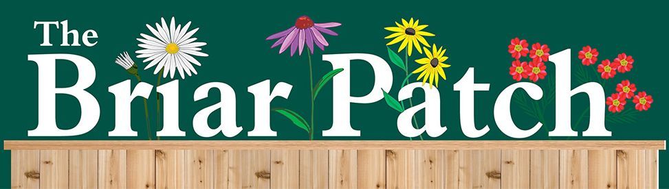 The Briar Patch logo The Briar Patch