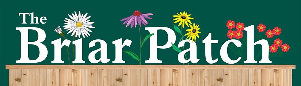 The Briar Patch