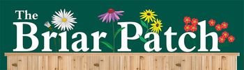 The Briar Patch