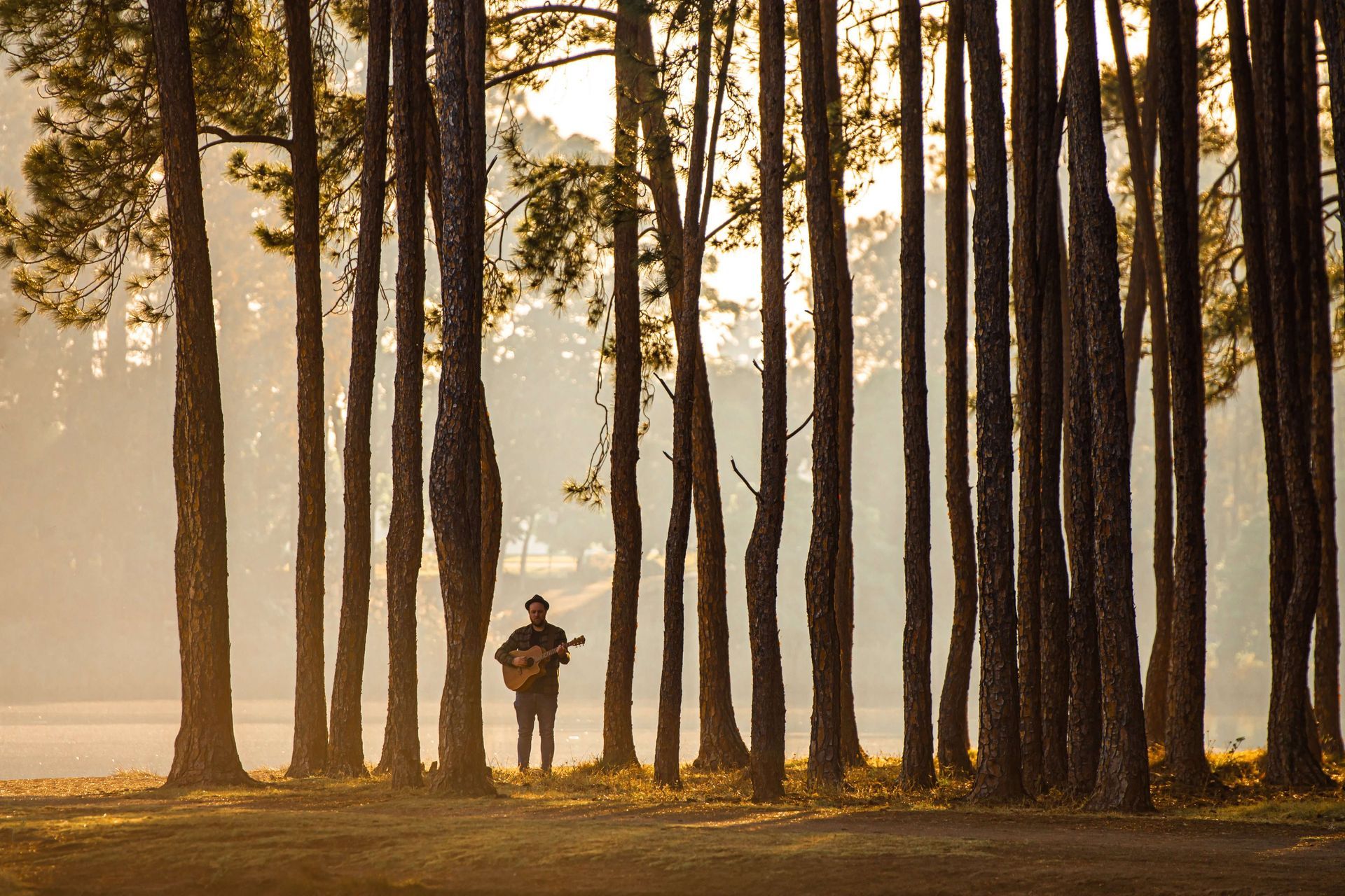 A person stands in a sunlit pine forest, playing an acoustic guitar by a calm lake at sunrise.