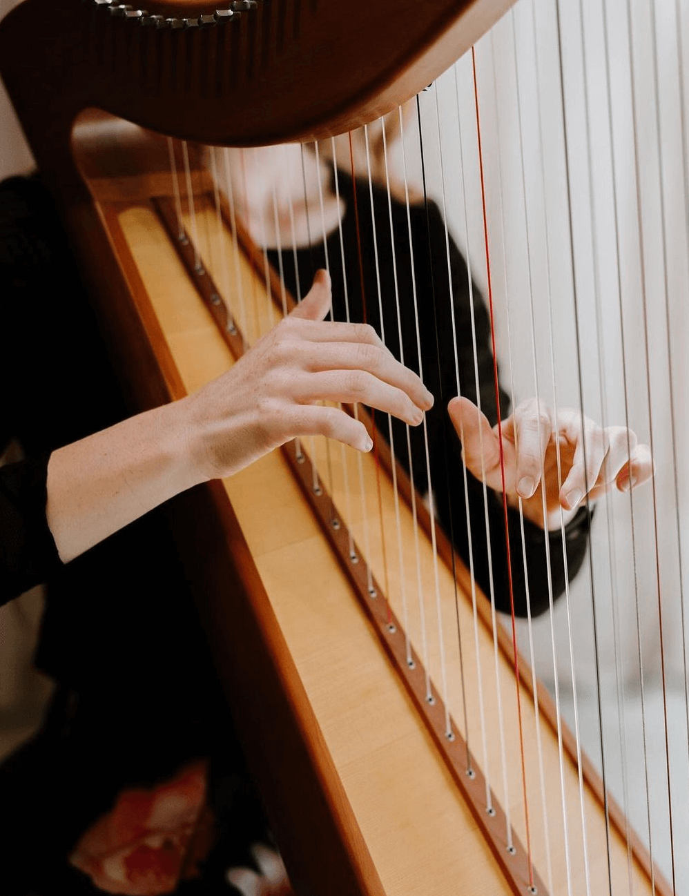 michelle doyle harpist melbourne