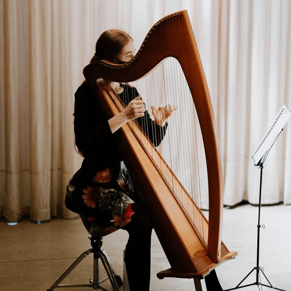 michelle doyle wedding harpist