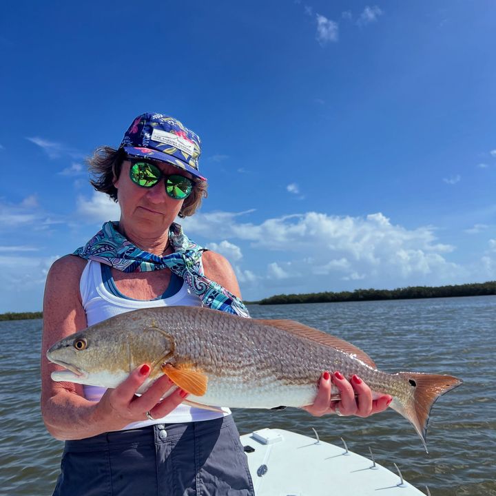 Person on a boat holding a large silver fish under a bright blue sky
