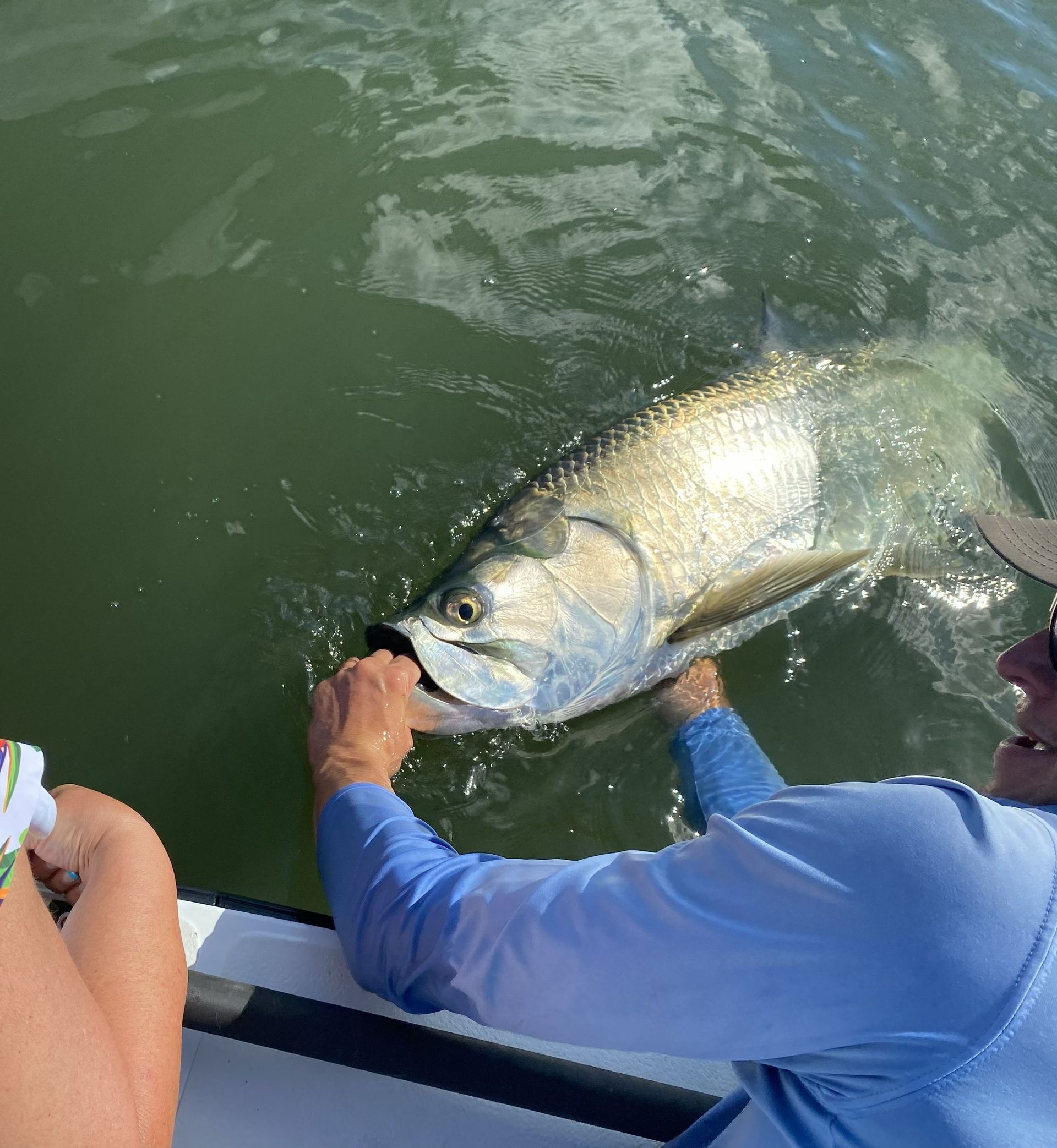 Person in blue shirt lifting a large silver fish from green water at the boat’s edge