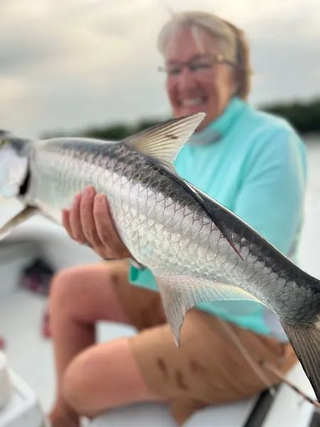 Person holding a large silver fish on a boat, with a blurred waterfront background.
