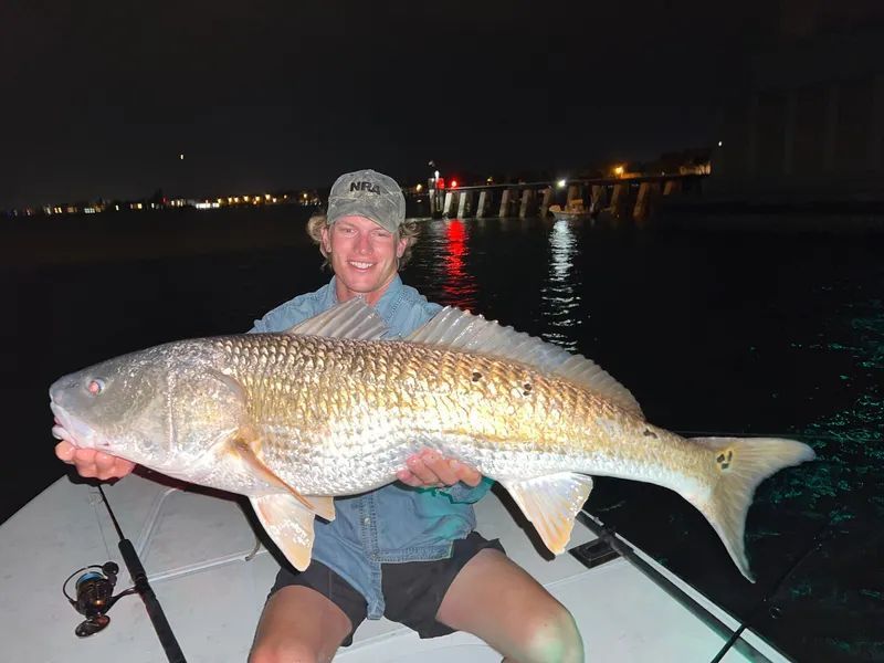 Man on a boat holding a large silvery fish at night near dock lights