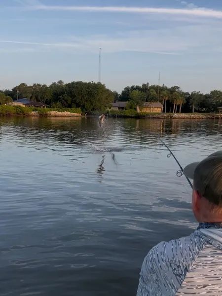 Person fishing from a boat on a calm river near a wooded shoreline at sunset