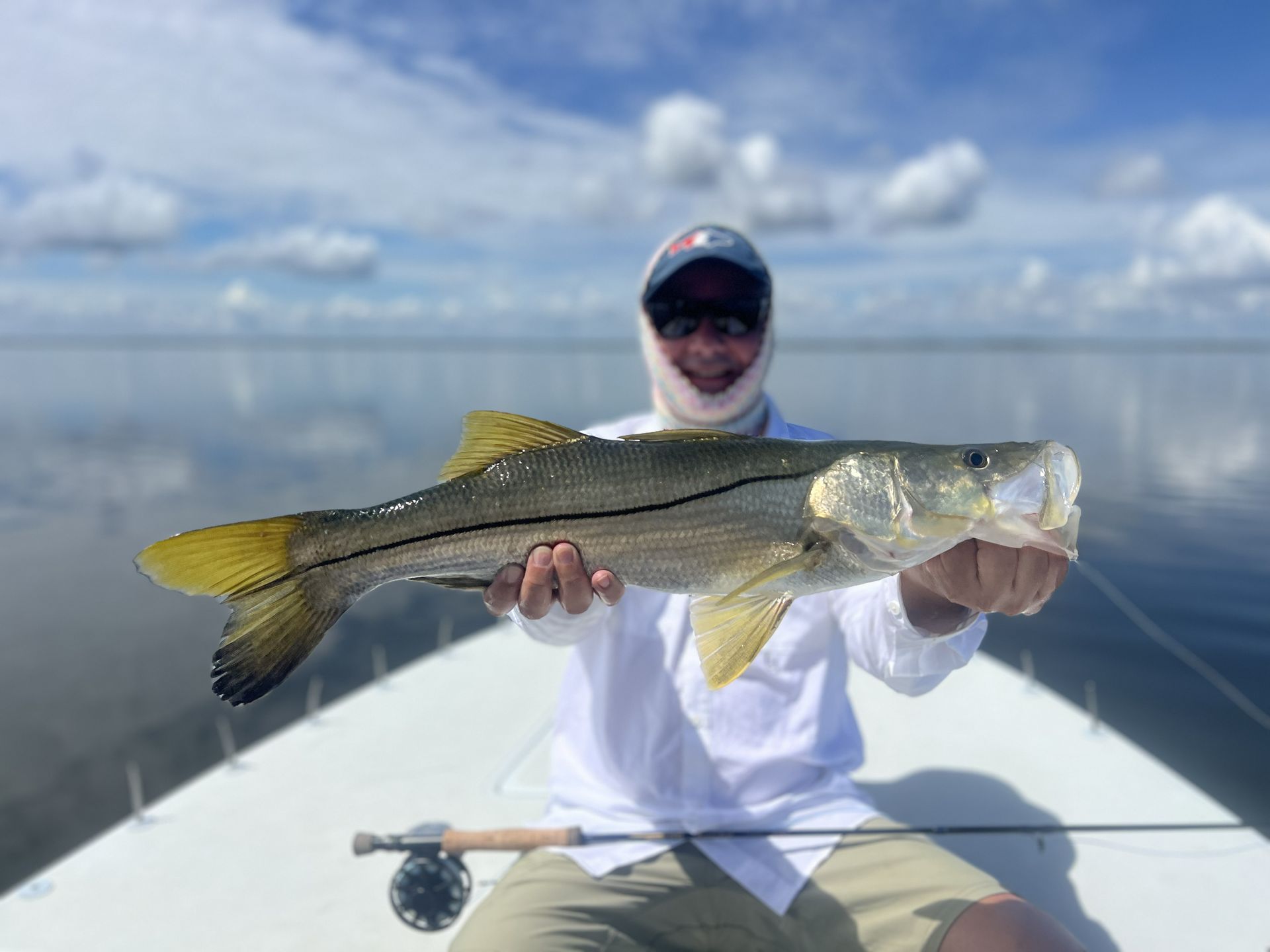 Person on a boat holding a large striped fish on a sunny ocean