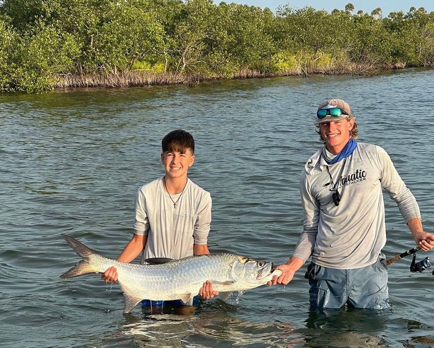 Two people holding a large silver fish in shallow water with mangroves in the background.